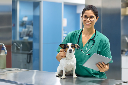 Veterinarian