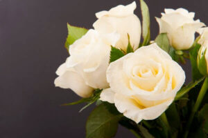 What to know about the governing laws of the texas funeral service commission 1