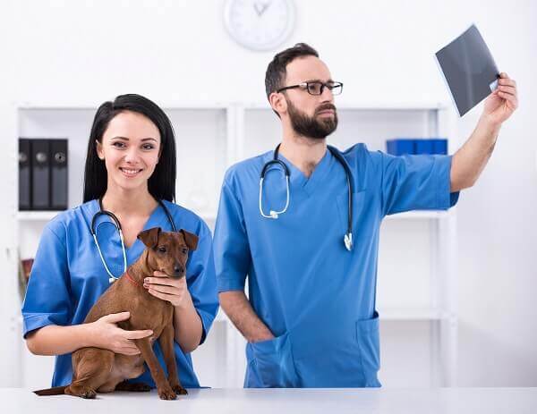 Texas veterinarians being prepared for a compliance inspection