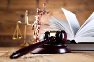 What is professional license defense