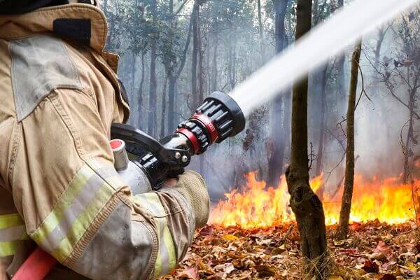 Texas commission on fire protections compliance program