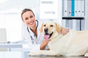 Is fingerprinting now required for all texas veterinarians