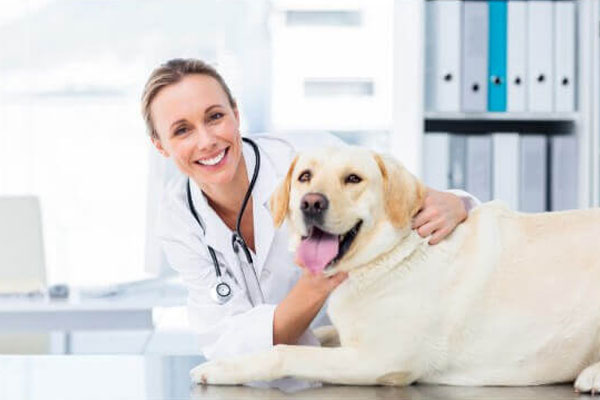 Is fingerprinting now required for all texas veterinarians