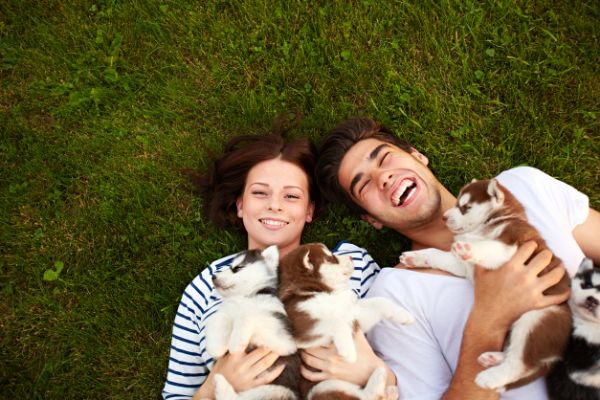 Responsibilities of licensed breeders in texas