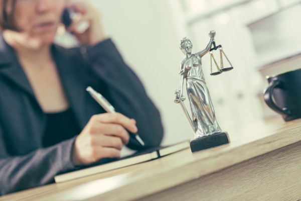 Tx professional license defense lawyer