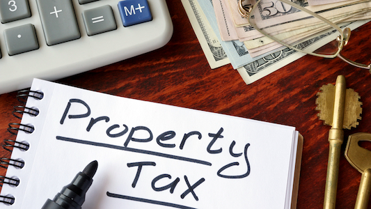 19 complaints against licensed property tax professionals