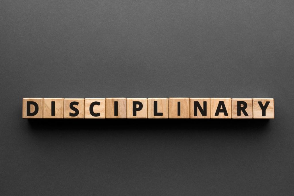 State Programs that Assist Professionals in Disciplinary Proceedings